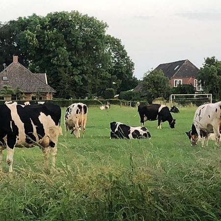 Heerlijk Gaanderhei Bed and Breakfast Gaanderen Buitenkant foto