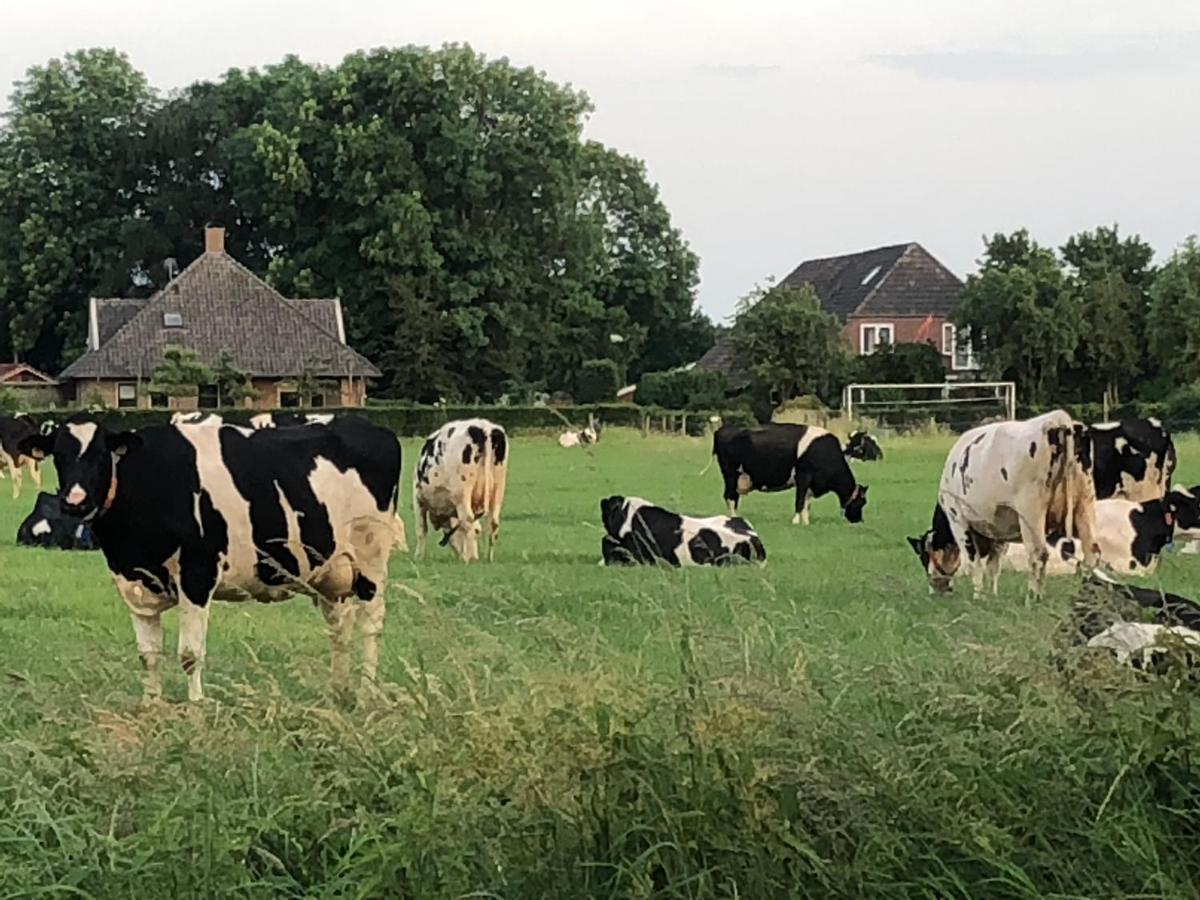 Heerlijk Gaanderhei Bed and Breakfast Gaanderen Buitenkant foto